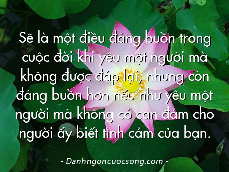 Sẽ là một điều đáng buồn trong cuộc đời khi yêu một người mà không được đáp lại, nhưng còn đáng buồn hơn nếu như yêu một người mà không có can đảm cho người ấy biết tình cảm của bạn.
