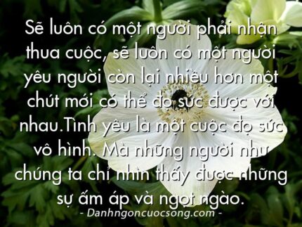 Sẽ luôn có một người phải nhận thua cuộc, sẽ luôn có một người yêu người còn lại nhiều hơn một chút mới có thể đọ sức được với nhau.Tình yêu là một cuộc đọ sức vô hình. Mà những người như chúng ta chỉ nhìn thấy được những sự ấm áp và ngọt ngào.