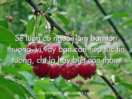 Sẽ luôn có người làm bạn tổn thương, vì vậy bạn cần tiếp tục tin tưởng, chỉ là hãy biết cẩn thận.