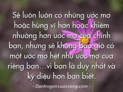 Sẽ luôn luôn có những ước mơ hoặc hùng vĩ hơn hoặc khiêm nhường hơn ước mơ của chính bạn, nhưng sẽ không bao giờ có một ước mơ hệt như ước mơ của riêng bạn…vì bạn là duy nhất và kỳ diệu hơn bạn biết.
