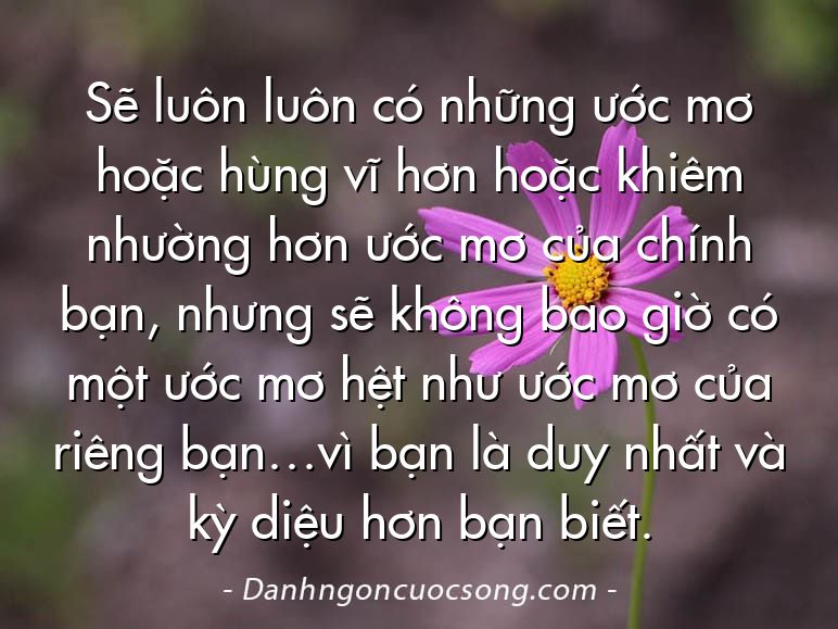 Sẽ luôn luôn có những ước mơ hoặc hùng vĩ hơn hoặc khiêm nhường hơn ước mơ của chính bạn, nhưng sẽ không bao giờ có một ước mơ hệt như ước mơ của riêng bạn…vì bạn là duy nhất và kỳ diệu hơn bạn biết.