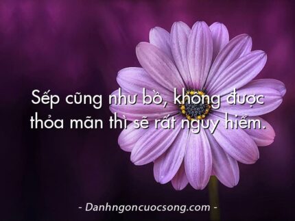 Sếp cũng như bồ, không được thỏa mãn thì sẽ rất nguy hiểm.
