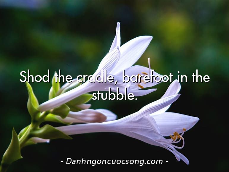 Shod the cradle, barefoot in the stubble.