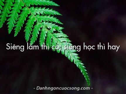 Siêng làm thì có, siêng học thì hay