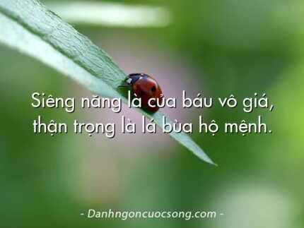 Siêng năng là của báu vô giá, thận trọng là lá bùa hộ mệnh.