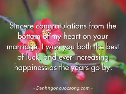 Sincere congratulations from the bottom of my heart on your marriage. I wish you both the best of luck, and ever-increasing happiness as the years go by.