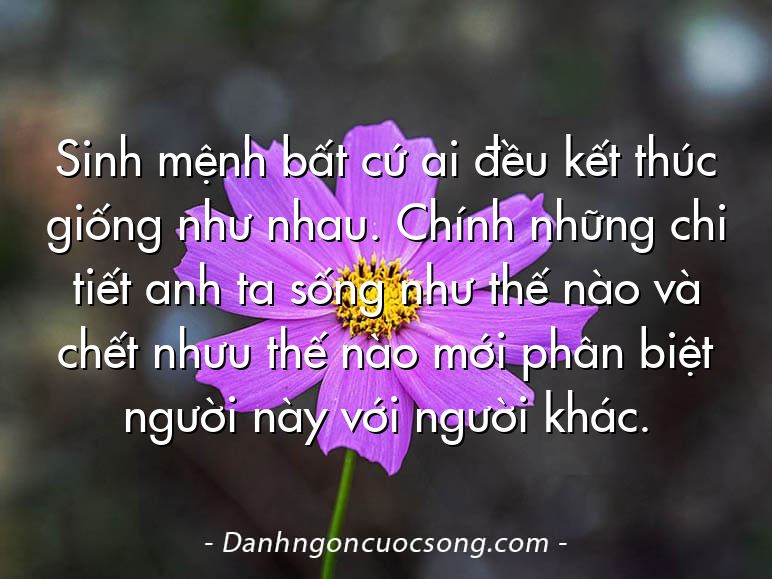 Sinh mệnh bất cứ ai đều kết thúc giống như nhau. Chính những chi tiết anh ta sống như thế nào và chết nhưu thế nào mới phân biệt người này với người khác.