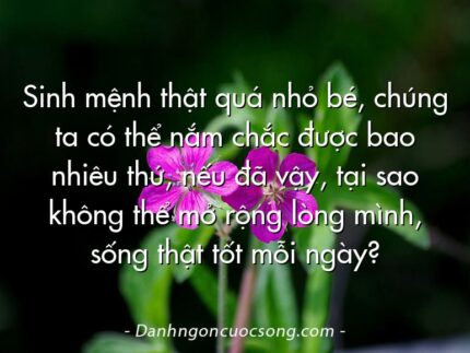 Sinh mệnh thật quá nhỏ bé, chúng ta có thể nắm chắc được bao nhiêu thứ, nếu đã vậy, tại sao không thể mở rộng lòng mình, sống thật tốt mỗi ngày?