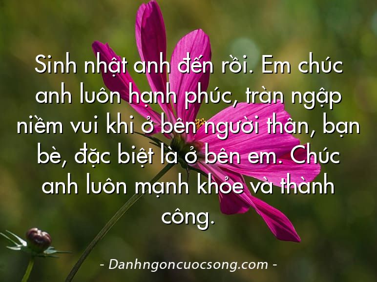 Sinh nhật anh đến rồi. Em chúc anh luôn hạnh phúc, tràn ngập niềm vui khi ở bên người thân, bạn bè, đặc biệt là ở bên em. Chúc anh luôn mạnh khỏe và thành công.