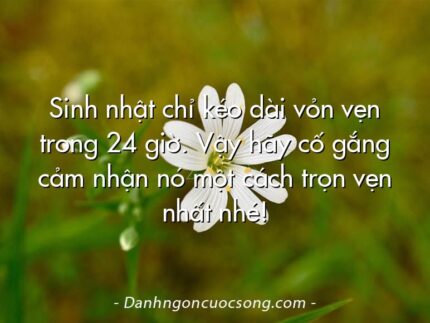 Sinh nhật chỉ kéo dài vỏn vẹn trong 24 giờ. Vậy hãy cố gắng cảm nhận nó một cách trọn vẹn nhất nhé!