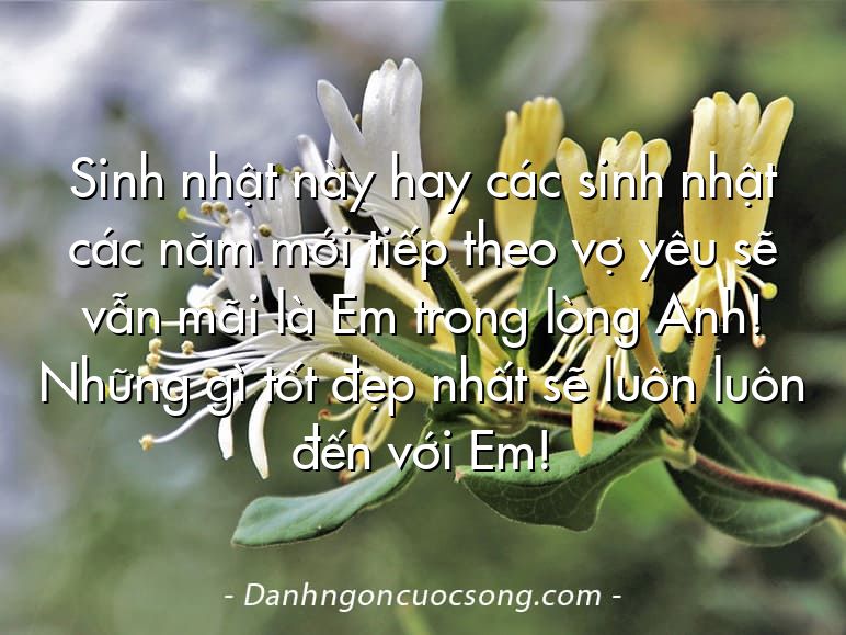 Sinh nhật này hay các sinh nhật các năm mới tiếp theo vợ yêu sẽ vẫn mãi là Em trong lòng Anh! Những gì tốt đẹp nhất sẽ luôn luôn đến với Em!