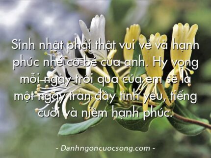 Sinh nhật phải thật vui vẻ và hạnh phúc nhé cô bé của anh. Hy vọng mỗi ngày trôi qua của em sẽ là một ngày tràn đầy tình yêu, tiếng cười và niềm hạnh phúc.