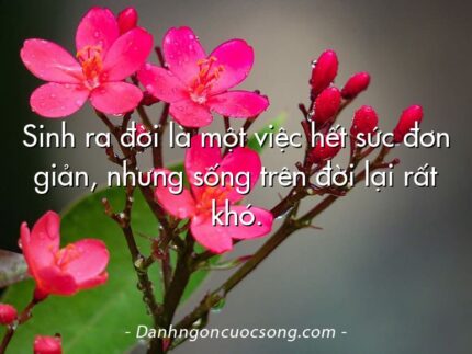Sinh ra đời là một việc hết sức đơn giản, nhưng sống trên đời lại rất khó.  