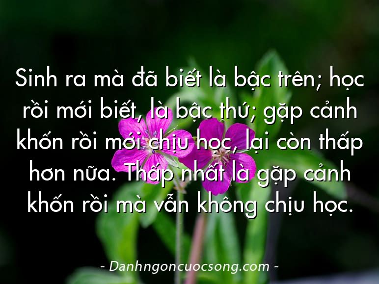 Sinh ra mà đã biết là bậc trên; học rồi mới biết, là bậc thứ; gặp cảnh khốn rồi mới chịu học, lại còn thấp hơn nữa. Thấp nhất là gặp cảnh khốn rồi mà vẫn không chịu học.