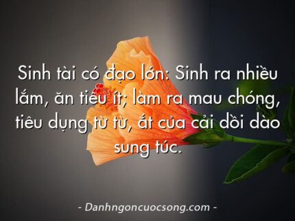 Sinh tài có đạo lớn: Sinh ra nhiều lắm, ăn tiêu ít; làm ra mau chóng, tiêu dụng từ từ, ắt của cải dồi dào sung túc.