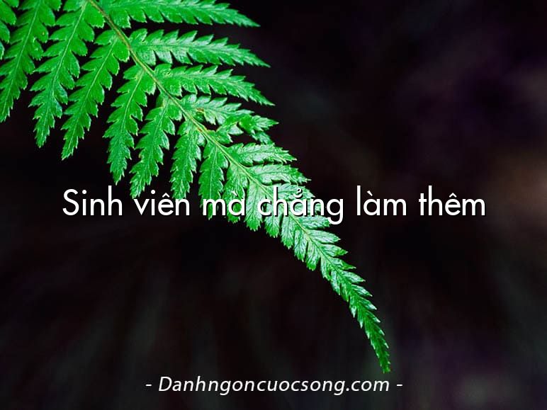 Sinh viên mà chẳng làm thêm