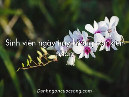 Sinh viên ngày nay không còn kiên nhẫn