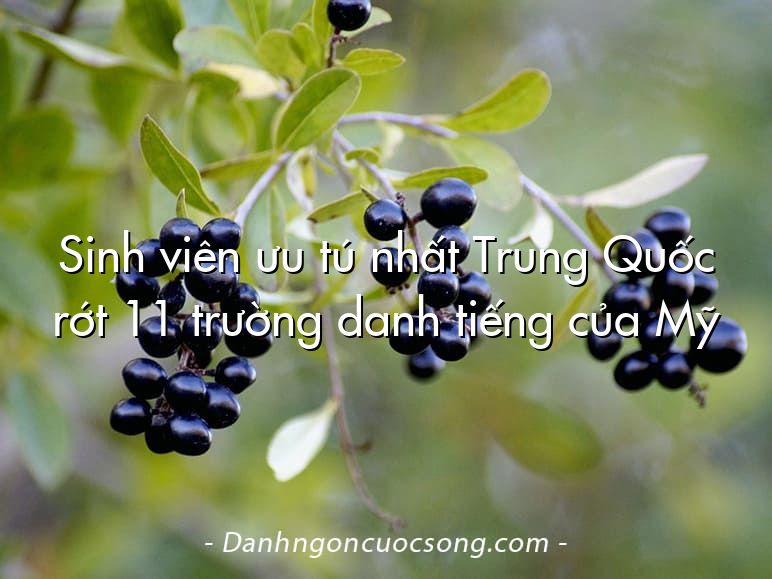 Sinh viên ưu tú nhất Trung Quốc rớt 11 trường danh tiếng của Mỹ