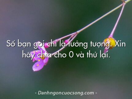 Số bạn gọi chỉ là tưởng tượng. Xin hãy chia cho 0 và thử lại.