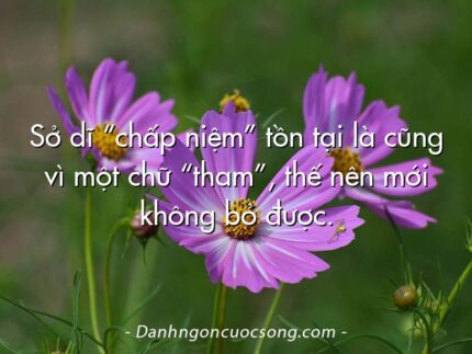 Sở dĩ “chấp niệm” tồn tại là cũng vì một chữ “tham”, thế nên mới không bỏ được.