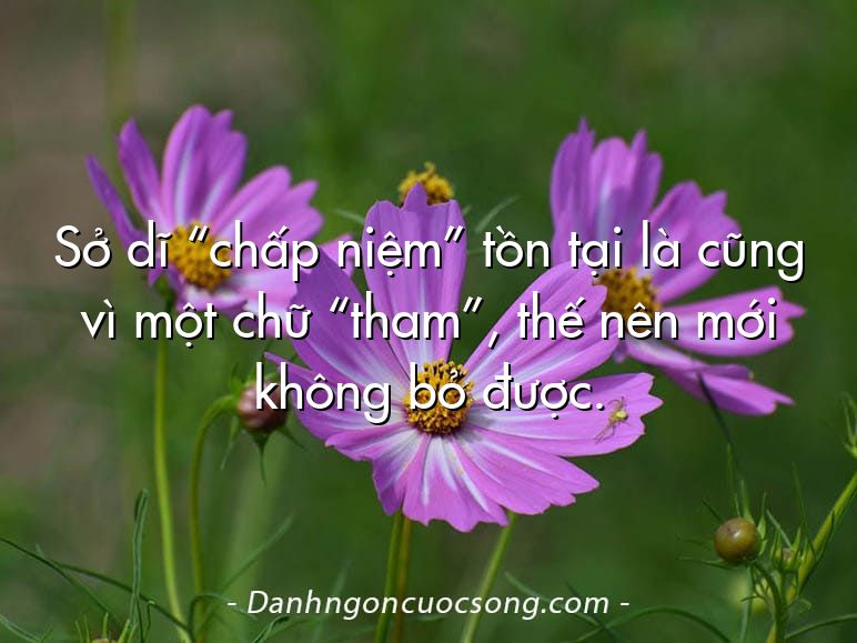 Sở dĩ “chấp niệm” tồn tại là cũng vì một chữ “tham”, thế nên mới không bỏ được.