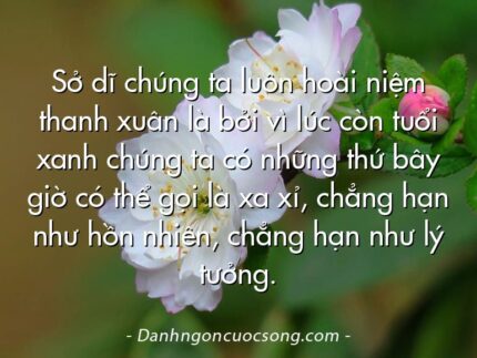 Sở dĩ chúng ta luôn hoài niệm thanh xuân là bởi vì lúc còn tuổi xanh chúng ta có những thứ bây giờ có thể gọi là xa xỉ, chẳng hạn như hồn nhiên, chẳng hạn như lý tưởng.