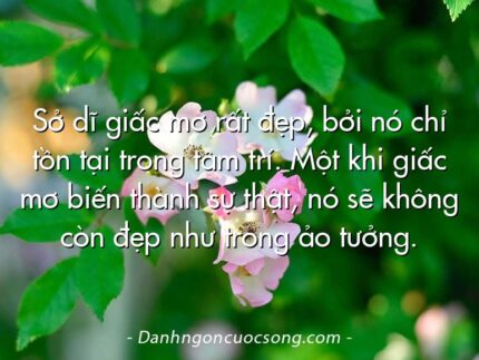 Sở dĩ giấc mơ rất đẹp, bởi nó chỉ tồn tại trong tâm trí. Một khi giấc mơ biến thành sự thật, nó sẽ không còn đẹp như trong ảo tưởng.