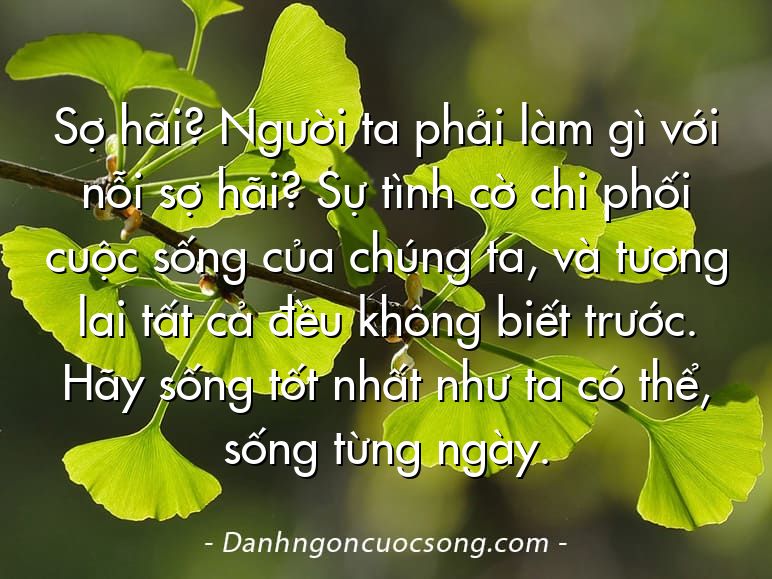 Sợ hãi? Người ta phải làm gì với nỗi sợ hãi? Sự tình cờ chi phối cuộc sống của chúng ta, và tương lai tất cả đều không biết trước. Hãy sống tốt nhất như ta có thể, sống từng ngày.