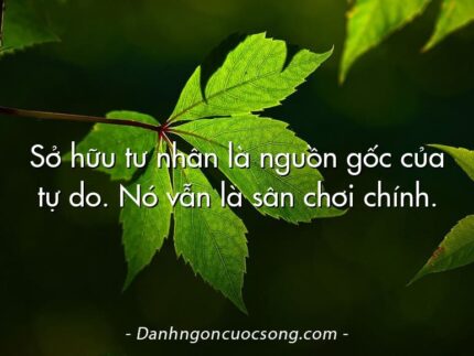 Sở hữu tư nhân là nguồn gốc của tự do. Nó vẫn là sân chơi chính.
