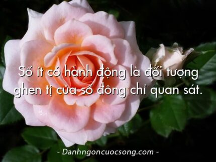 Số ít có hành động là đối tượng ghen tị của số đông chỉ quan sát.