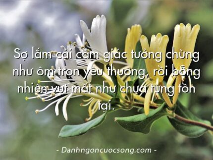 Sợ lắm cái cảm giác tưởng chừng như ôm trọn yêu thương, rồi bỗng nhiên vụt mất như chưa từng tồn tại.