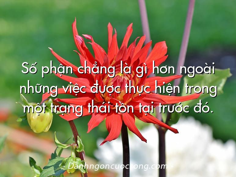 Số phận chẳng là gì hơn ngoài những việc được thực hiện trong một trạng thái tồn tại trước đó.