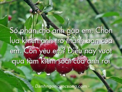 Số phận cho anh gặp em. Chọn lựa khiến anh trở thành bạn của em. Còn yêu em? Điều này vượt qua tầm kiểm soát của anh rồi