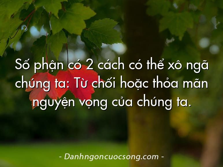 Số phận có 2 cách có thể xô ngã chúng ta: Từ chối hoặc thỏa mãn nguyện vọng của chúng ta.