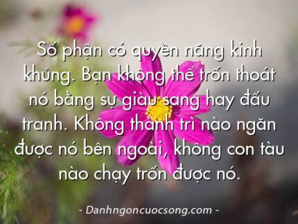 Số phận có quyền năng kinh khủng. Bạn không thể trốn thoát nó bằng sự giàu sang hay đấu tranh. Không thành trì nào ngăn được nó bên ngoài, không con tàu nào chạy trốn được nó.