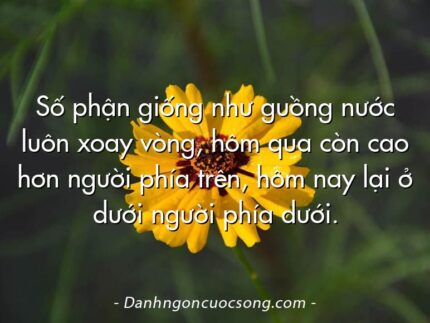 Số phận giống như guồng nước luôn xoay vòng, hôm qua còn cao hơn người phía trên, hôm nay lại ở dưới người phía dưới.