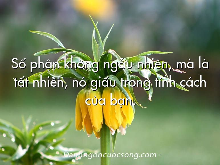 Số phận không ngẫu nhiên, mà là tất nhiên, nó giấu trong tính cách của bạn.