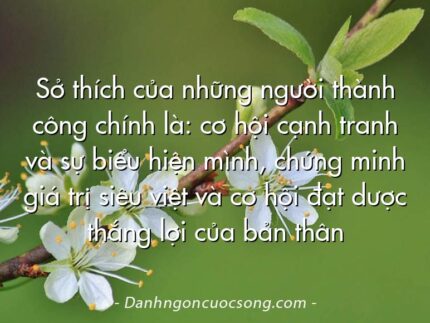 Sở thích của những người thành công chính là: cơ hội cạnh tranh và sự biểu hiện mình, chứng minh giá trị siêu việt và cơ hội đạt dược thắng lợi của bản thân