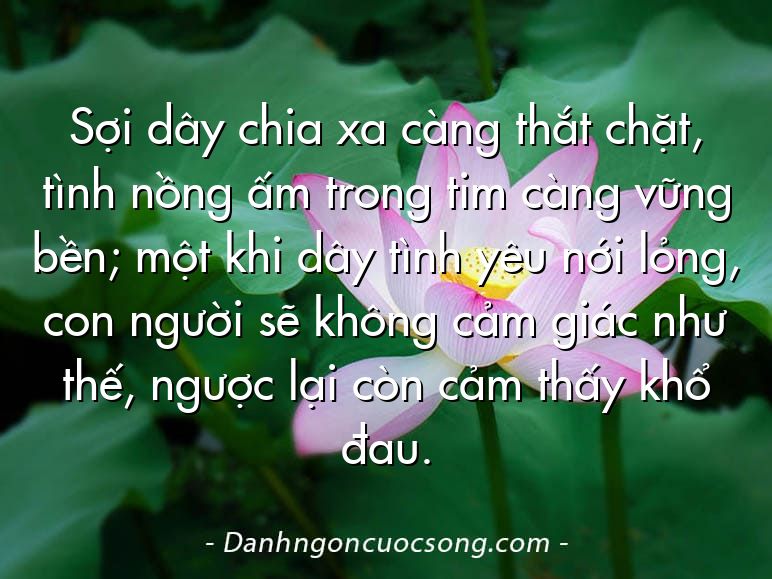 Sợi dây chia xa càng thắt chặt, tình nồng ấm trong tim càng vững bền; một khi dây tình yêu nới lỏng, con người sẽ không cảm giác như thế, ngược lại còn cảm thấy khổ đau.  