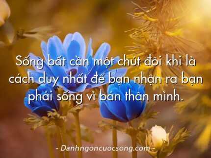 Sống bất cần một chút đôi khi là cách duy nhất để bạn nhận ra bạn phải sống vì bản thân mình.