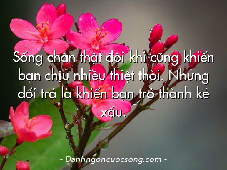 Sống chân thật đôi khi cũng khiến bạn chịu nhiều thiệt thòi. Nhưng dối trá là khiến bạn trở thành kẻ xấu.