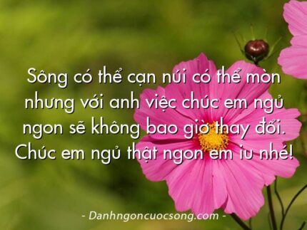 Sông có thể cạn núi có thể mòn nhưng với anh việc chúc em ngủ ngon sẽ không bao giờ thay đổi. Chúc em ngủ thật ngon em iu nhé!
