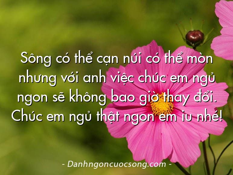 Sông có thể cạn núi có thể mòn nhưng với anh việc chúc em ngủ ngon sẽ không bao giờ thay đổi. Chúc em ngủ thật ngon em iu nhé!