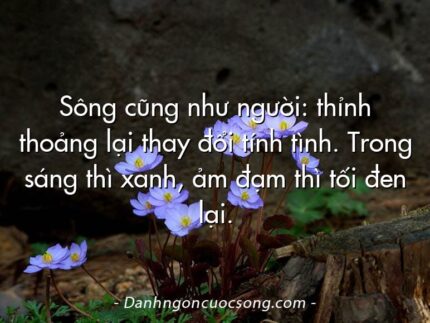 Sông cũng như người: thỉnh thoảng lại thay đổi tính tình. Trong sáng thì xanh, ảm đạm thì tối đen lại.