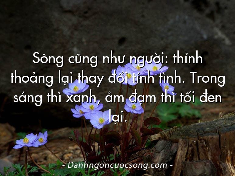 Sông cũng như người: thỉnh thoảng lại thay đổi tính tình. Trong sáng thì xanh, ảm đạm thì tối đen lại.