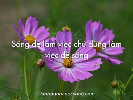 Sống để làm việc chứ đừng làm việc để sống