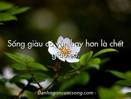 Sống giàu có vẫn hay hơn là chết giàu có.