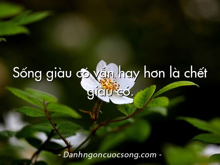 Sống giàu có vẫn hay hơn là chết giàu có.