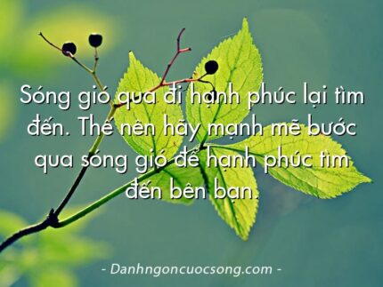 Sóng gió qua đi hạnh phúc lại tìm đến. Thế nên hãy mạnh mẽ bước qua sóng gió để hạnh phúc tìm đến bên bạn.