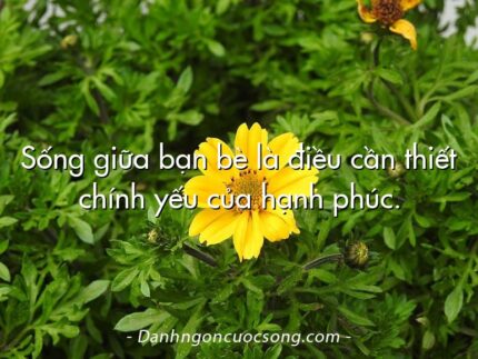 Sống giữa bạn bè là điều cần thiết chính yếu của hạnh phúc.